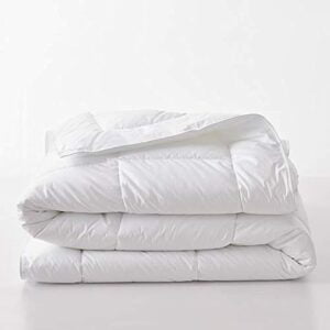 Cotton Duvet
